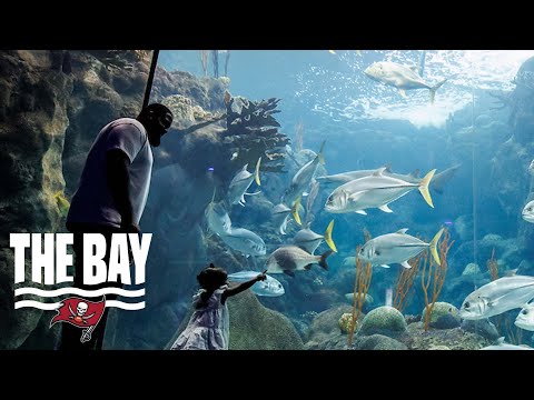 Donovan Smith Visits The Florida Aquarium | The Bay